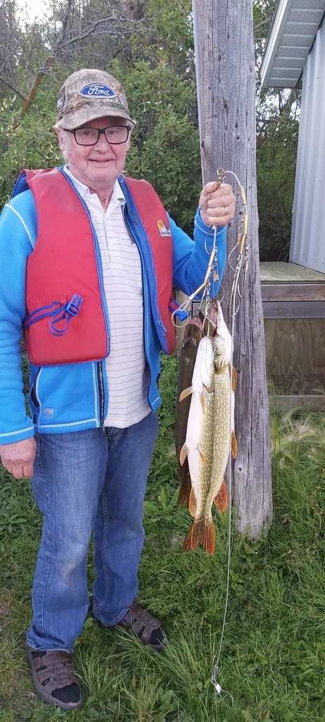 Peter Bueckert 1 Bueckert Peter photo