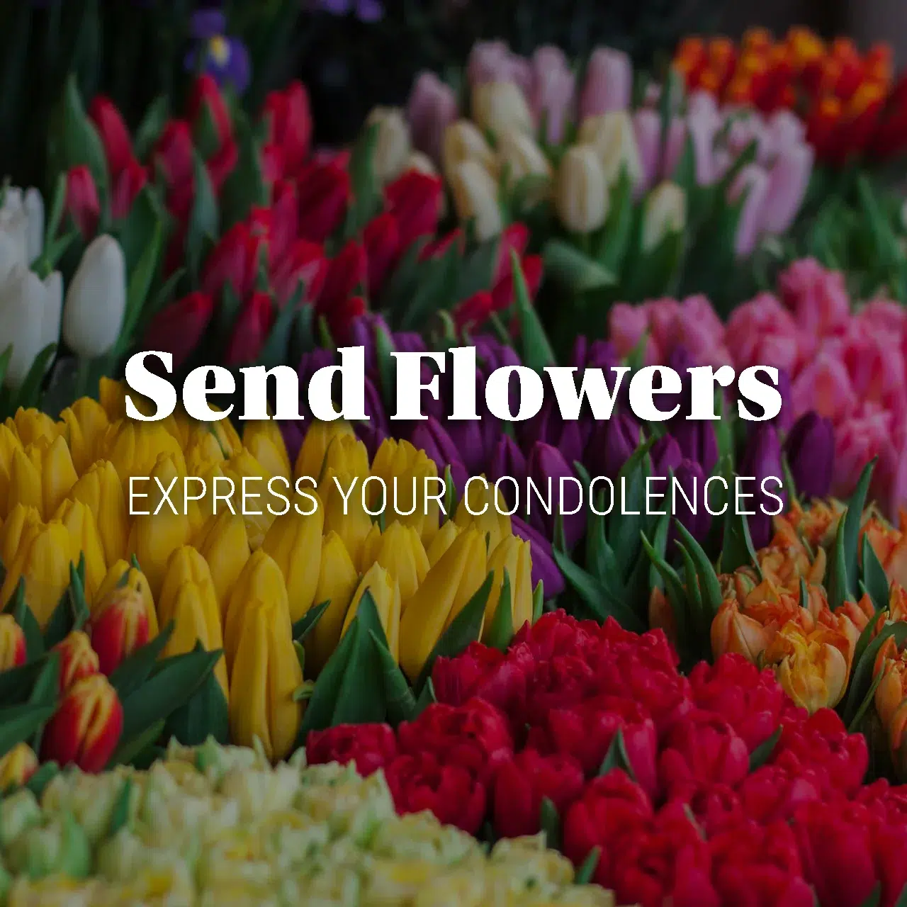 Home 11 order flowers 1