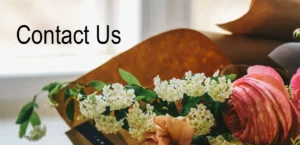 Contact Us Image - half - compressed